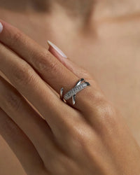 Zilver